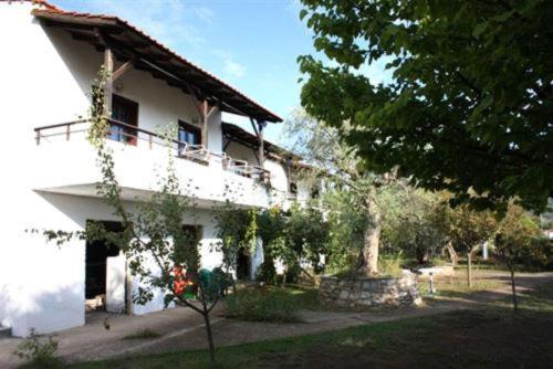 Olive Studios And Apartments Скала Потамияс Екстериор снимка